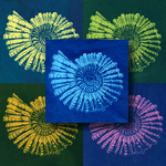 <br />
<b>Warning</b>:  Undefined variable $categores in <b>/home/blue/public_html/store.php</b> on line <b>133</b><br />
<br />
<b>Warning</b>:  Trying to access array offset on value of type null in <b>/home/blue/public_html/store.php</b> on line <b>133</b><br />
