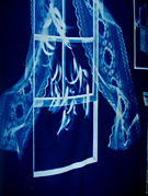 <br />
<b>Warning</b>:  Undefined variable $categores in <b>/home/blue/public_html/store.php</b> on line <b>133</b><br />
<br />
<b>Warning</b>:  Trying to access array offset on value of type null in <b>/home/blue/public_html/store.php</b> on line <b>133</b><br />
